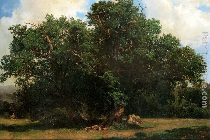 Johannes Bosboom Oak Trees